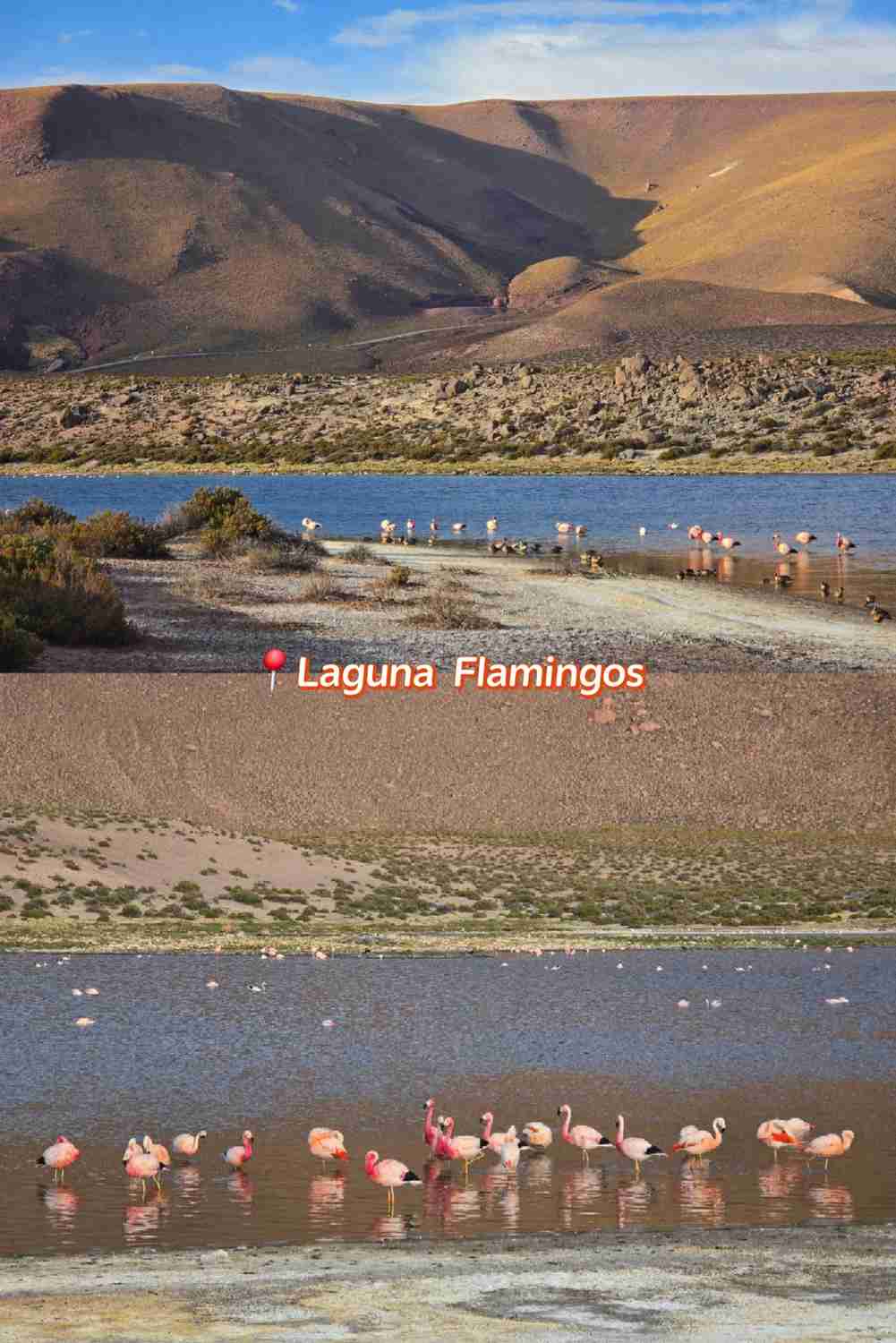 How to Plan an Atacama Self-Drive Trip: Best Budget Tips & Must-See Spots