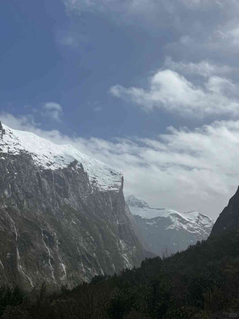 Is Early Morning Kayaking in Milford Sound Worth the 3 AM Wake-Up Call?