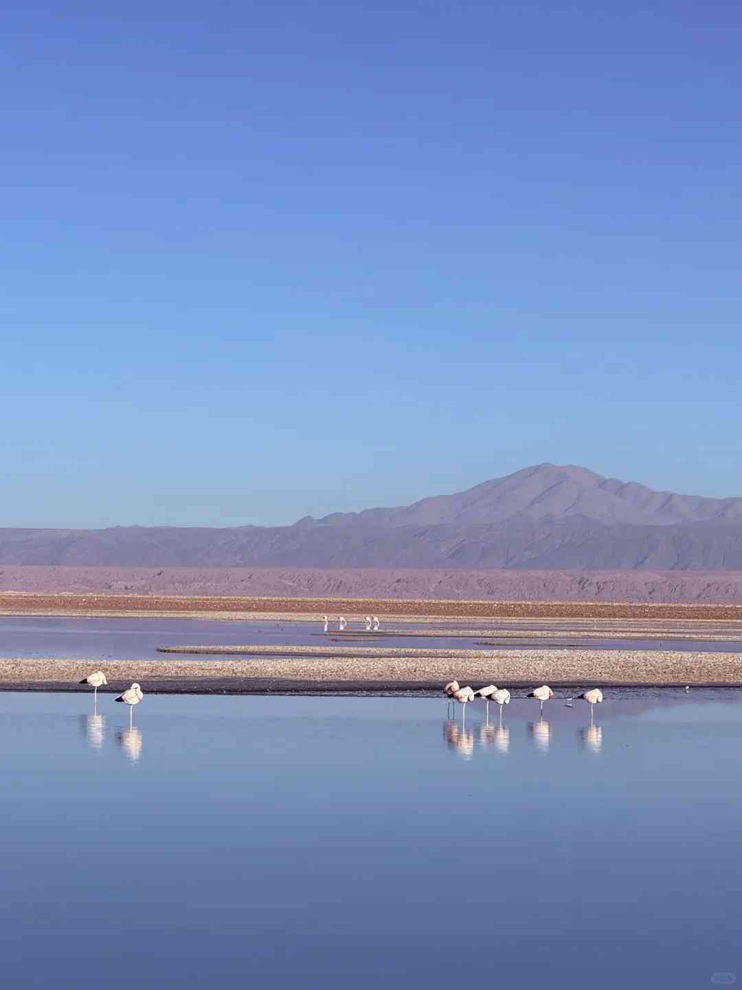 Is a Local Guide Needed for Budget Travel in the Atacama Desert?