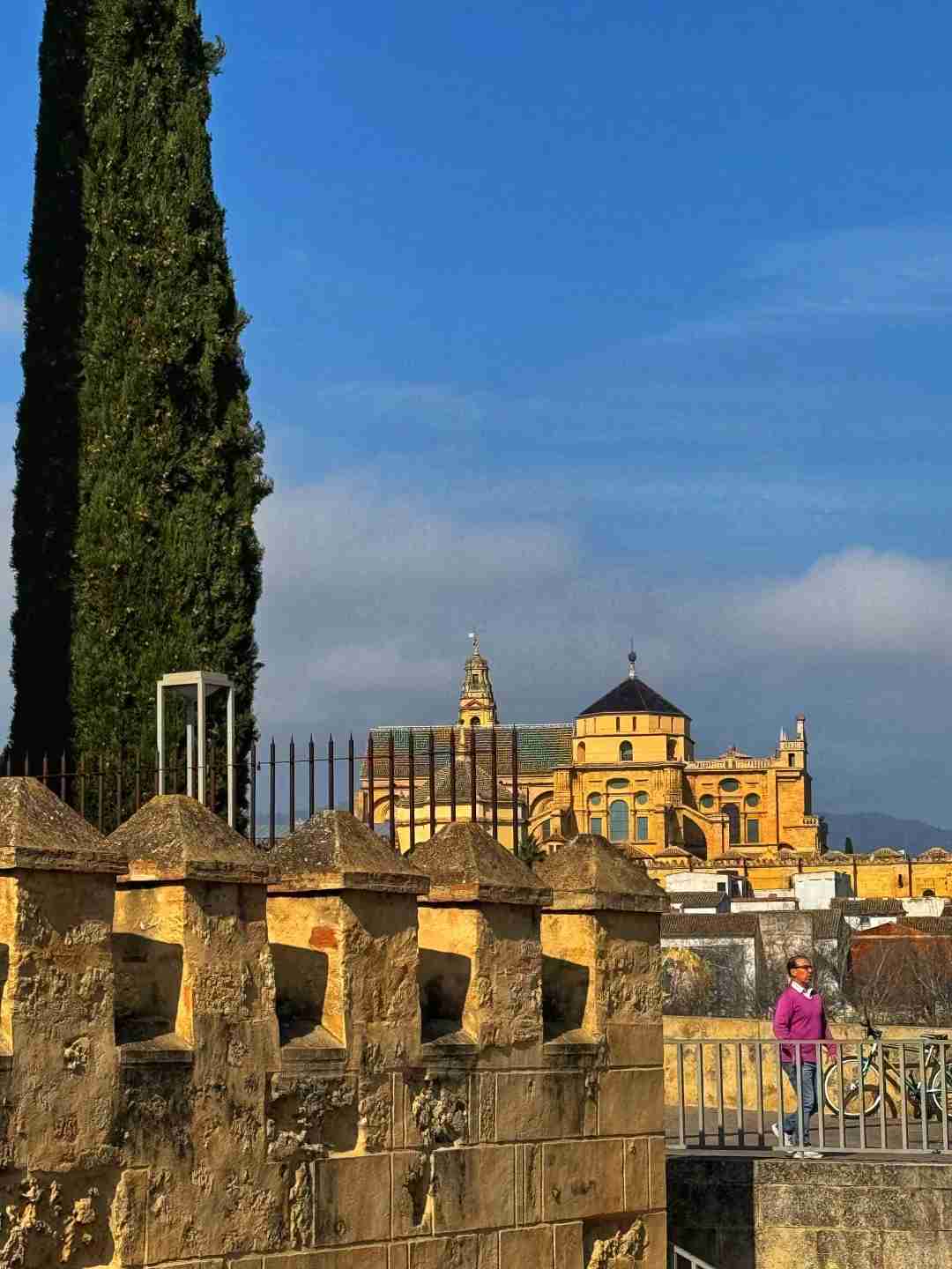 Is the Cordoba Cathedral Considered the Most Beautiful in Spain?