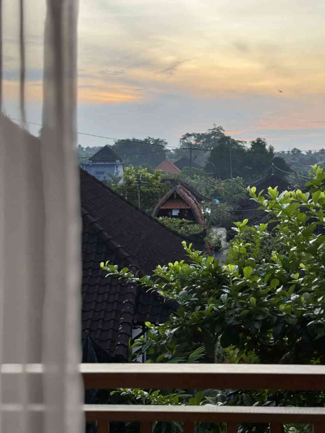 Islander📝｜Adapting to Life in Bali: My Personal Journey and Tips
