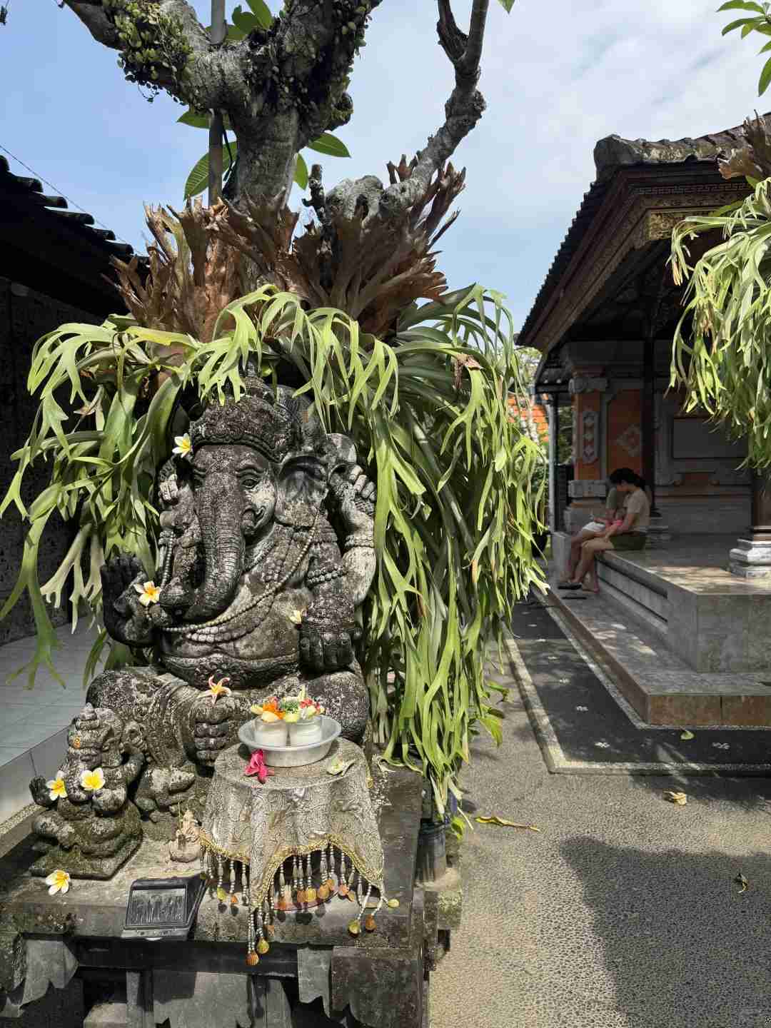 Islander📝｜Adapting to Life in Bali: My Personal Journey and Tips