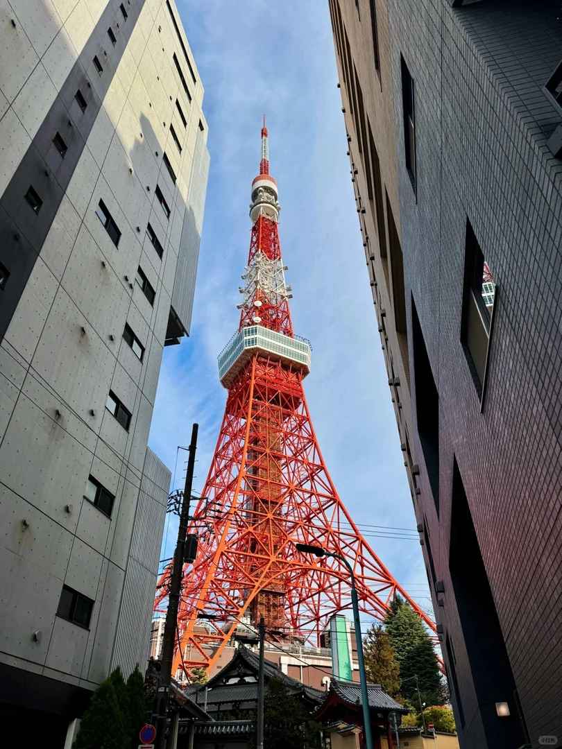 Japan Travel Update 2023: Current Situation & Essential Tips for Safe Trips | Helpful Guide