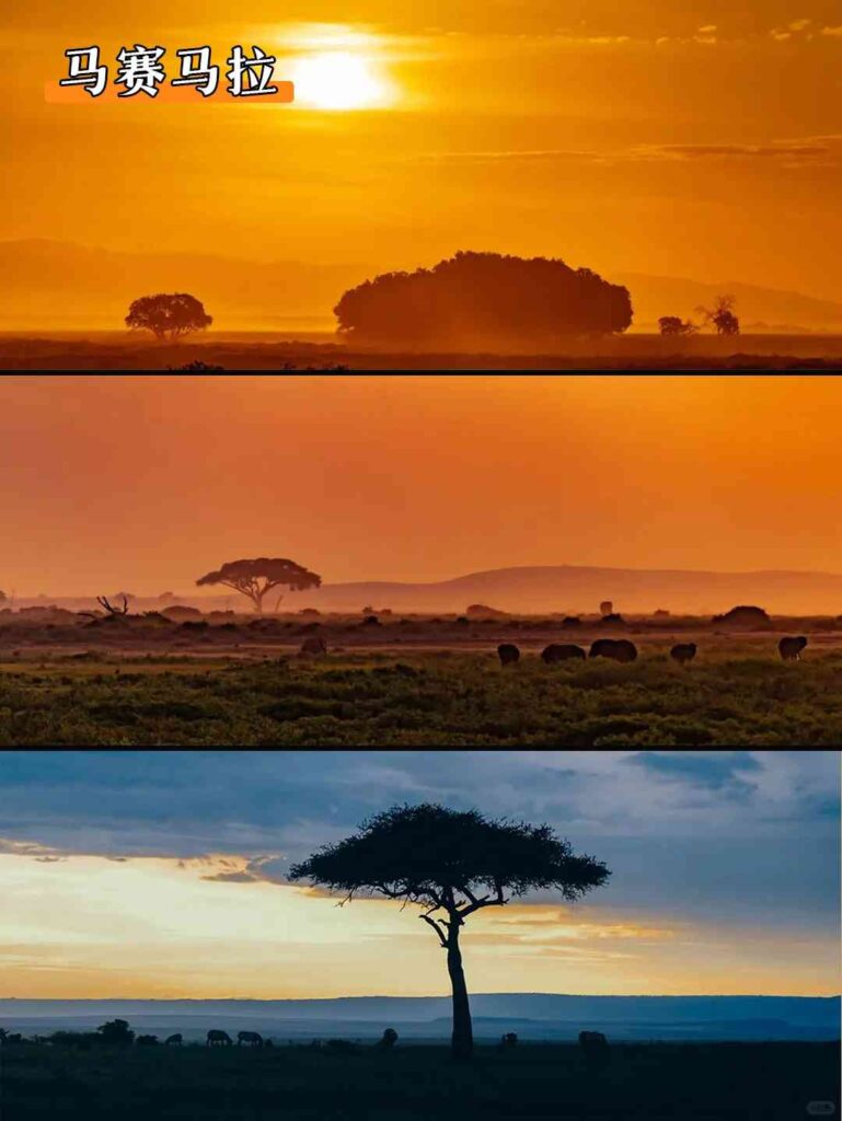 Join Kenya Travel Photography Group in July: Capture Amazing Wildlife Migration Photos!