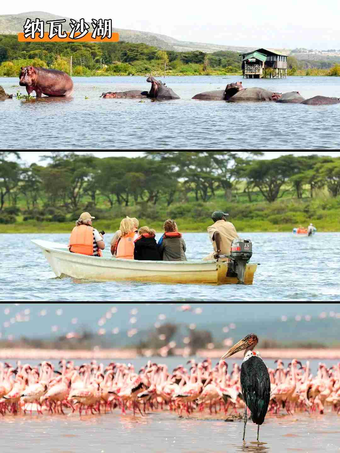 Participe do Grupo de Fotografia de Viagem ao Quênia em julho: Capture Fotos Incríveis da Migração de Animais Selvagens!