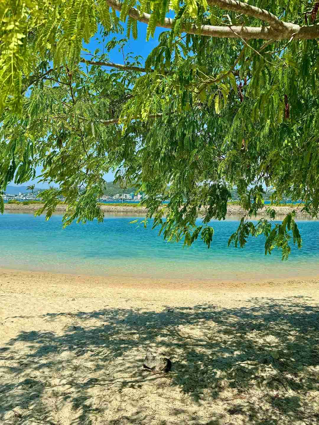 Nha Trangから戻ってきたばかり:絶対に知っておくべきポイントと隠された名所(旅行ガイド)