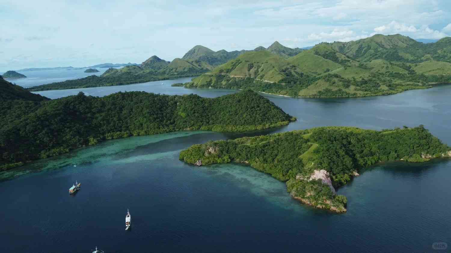 Aventura de Kenny Komodo: Explore o Mundo Empolgante das Missões Répteis