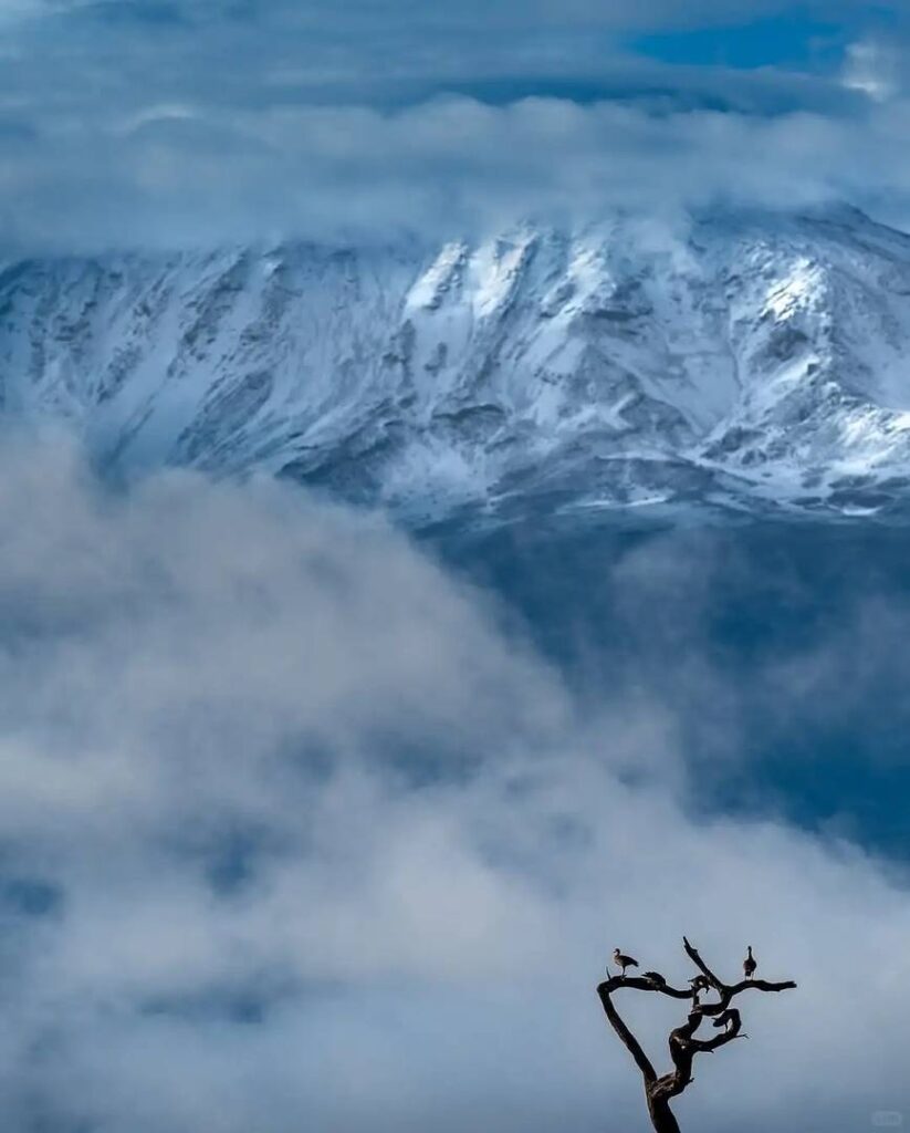 Kilimanjaro Climbing Guide: Best Routes, Tips & Stunning Summit Views