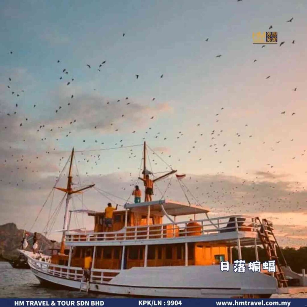 Viagem de Aventura em Komodo: Explore Ilhas Exóticas e Vida Selvagem Juntos 🌿🌊🦎