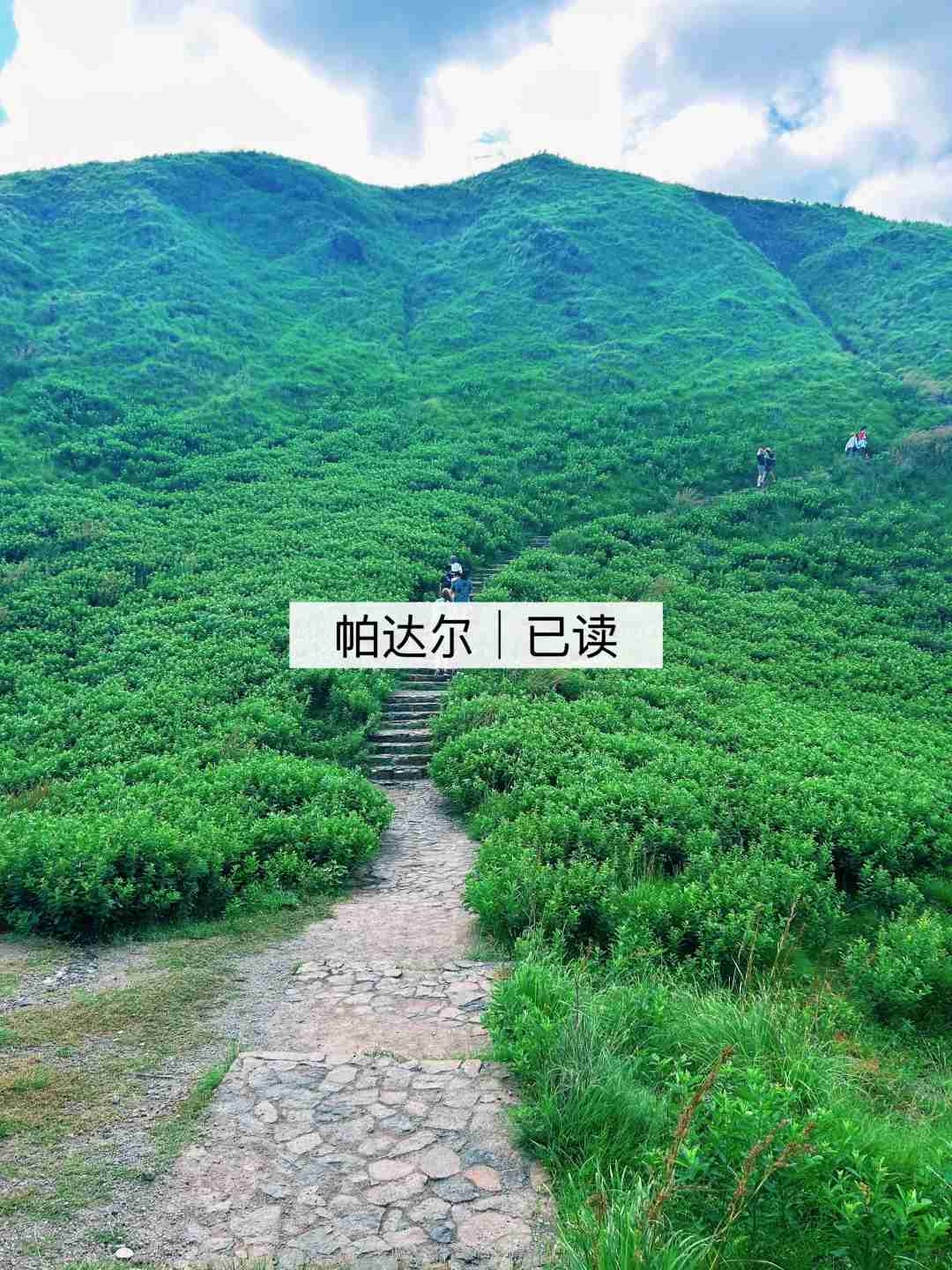 Однодневная экскурсия на Комодо: Сбыча мечт с наблюдением за мантами 🤗