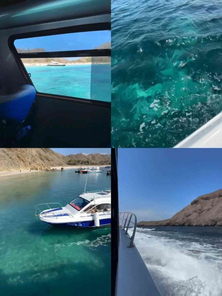 Tour d'une journée à Komodo : Explorez des îles magnifiques et rencontrez des varans de Komodo sauvages 🐊