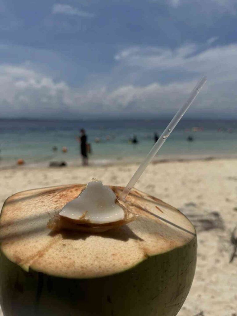 Kota Kinabalu Island in der Nähe: Die besten Touren und Aktivitäten erklärt