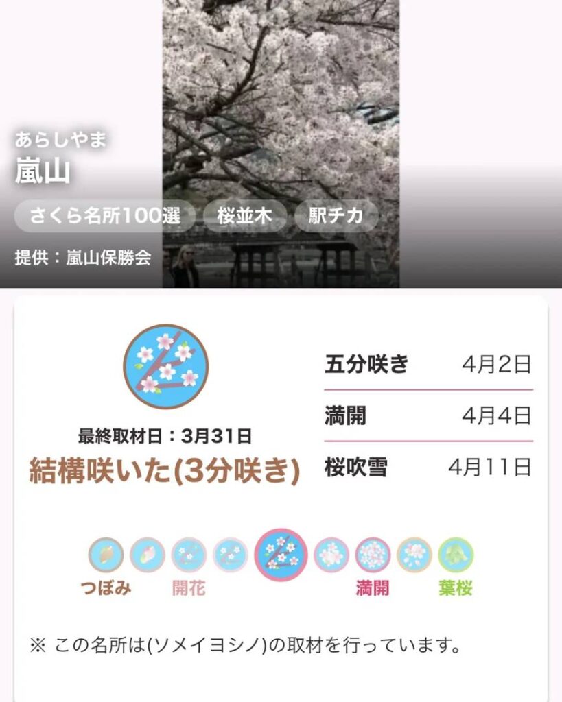 Kyoto-Kirschblütenvorhersage: Die besten Aussichtsorte und Blütedaten (aktualisiert am 31.03.)