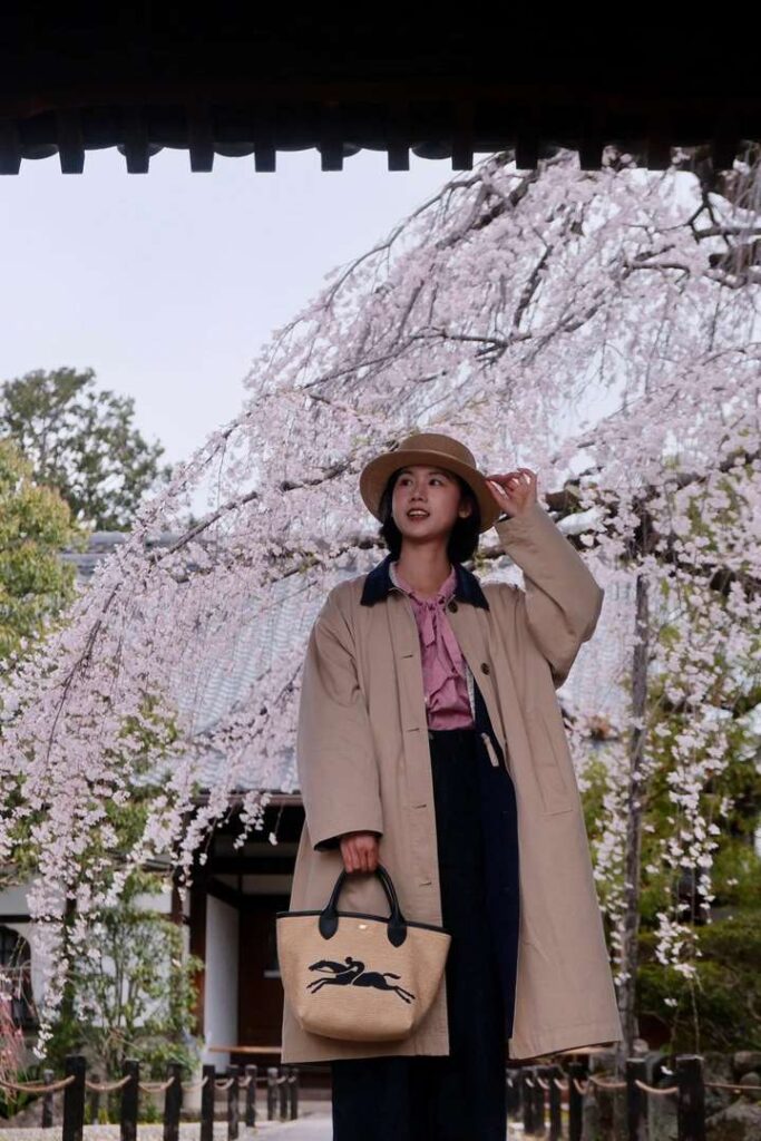 Kyoto Hidden Gems: 2 Secret Spots for Full-Bloom Weeping Cherry Trees Away from Crowds 🌸