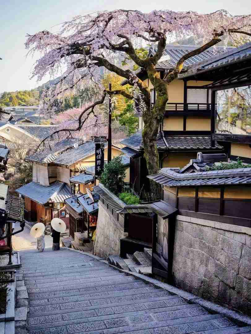 Guia de Viagem para Kyoto: Explorando a Elegância Antiga e Cumprindo uma Promessa de 1000 Anos no Japão
