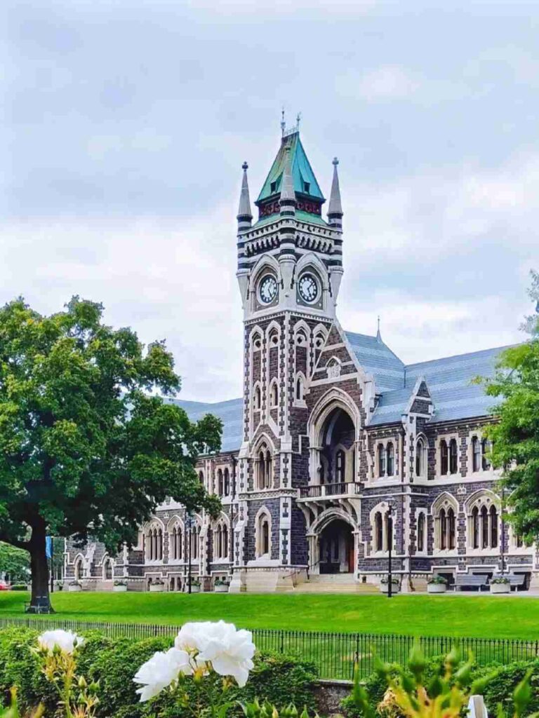 Living in New Zealand for 5 Years: My Honest Rant and Experiences Today