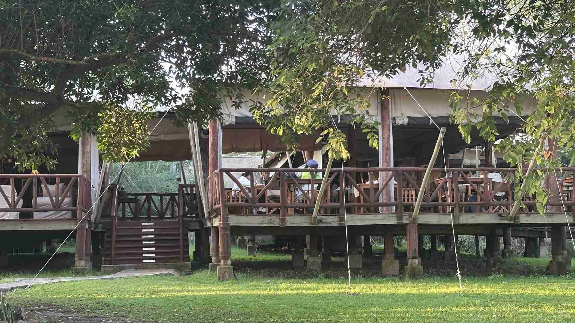 Luxury Glamping Night Safari Review: Is This $8,000 Experience Worth the Price?