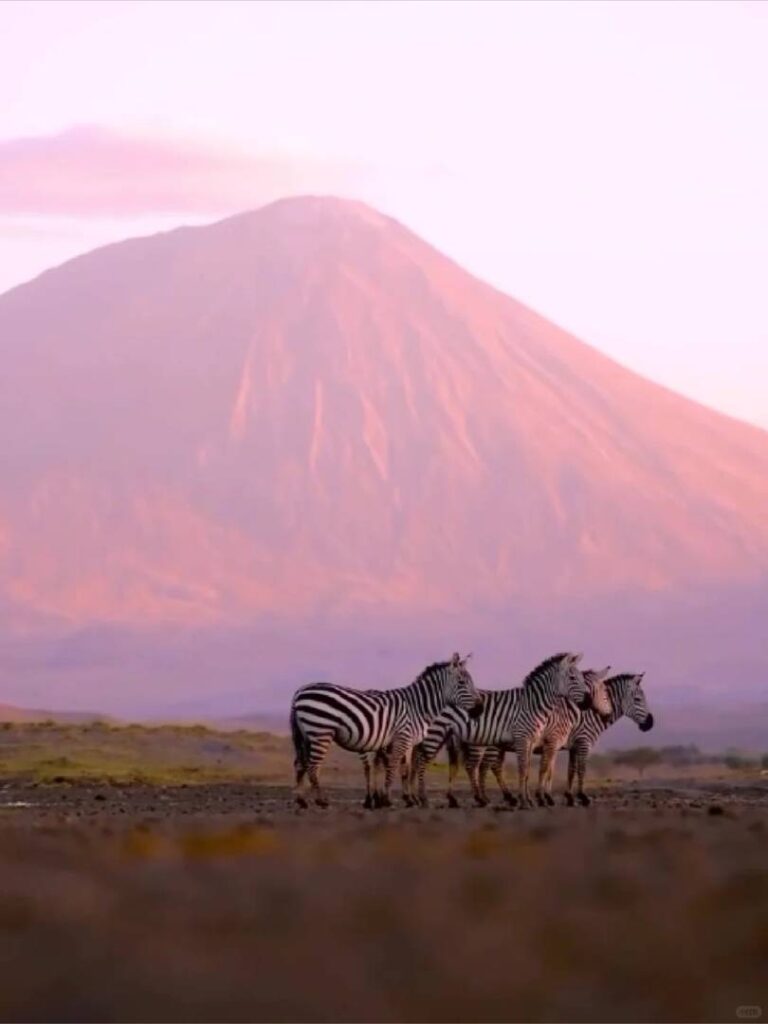 Sehenswürdigkeiten in Tansania, die Sie unbedingt besuchen sollten: Die besten Safari-Orte und...