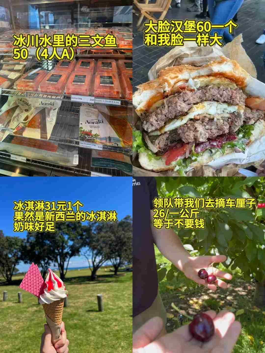 Meine Ausgaben-Gewohnheiten sind in Neuseeland zusammengebrochen: Sechs Monate an Ersparnisse verschwendet 😭