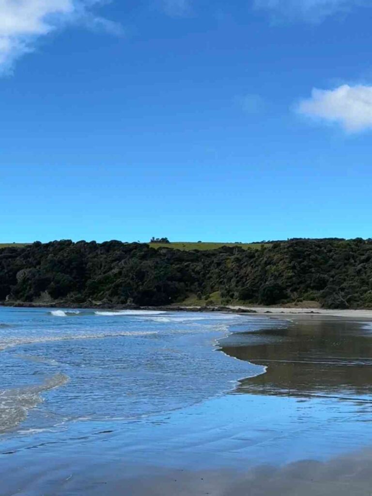 New Zealand Trip Recap: Essential Tips to Avoid Travel Agency Pitfalls for Your Sisters