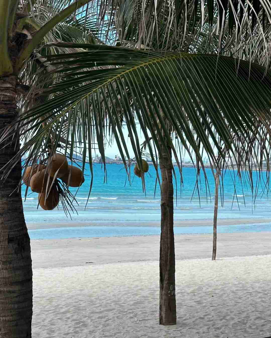 Нячанг🌴 Летний выезд на море: Лучшие морские развлечения и места для отдыха