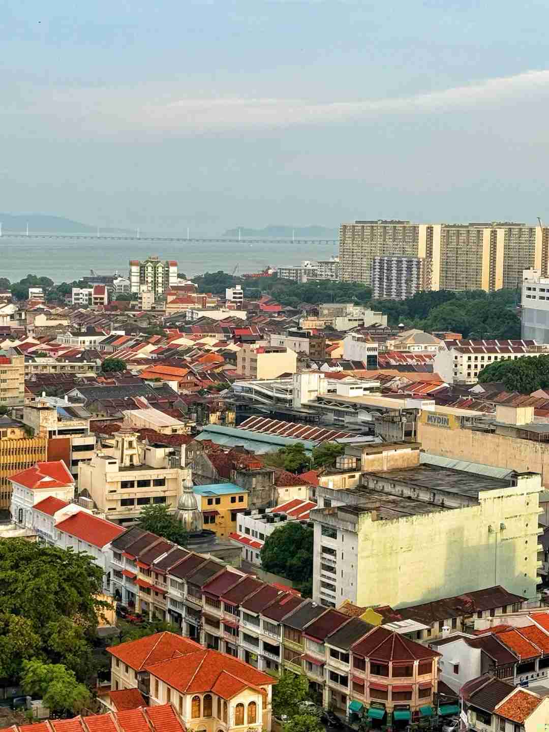 دليل سفر بنغالور 🇲🇾 | استكشف التراث نانياو وتجربة الحياة البطيئة 🦦