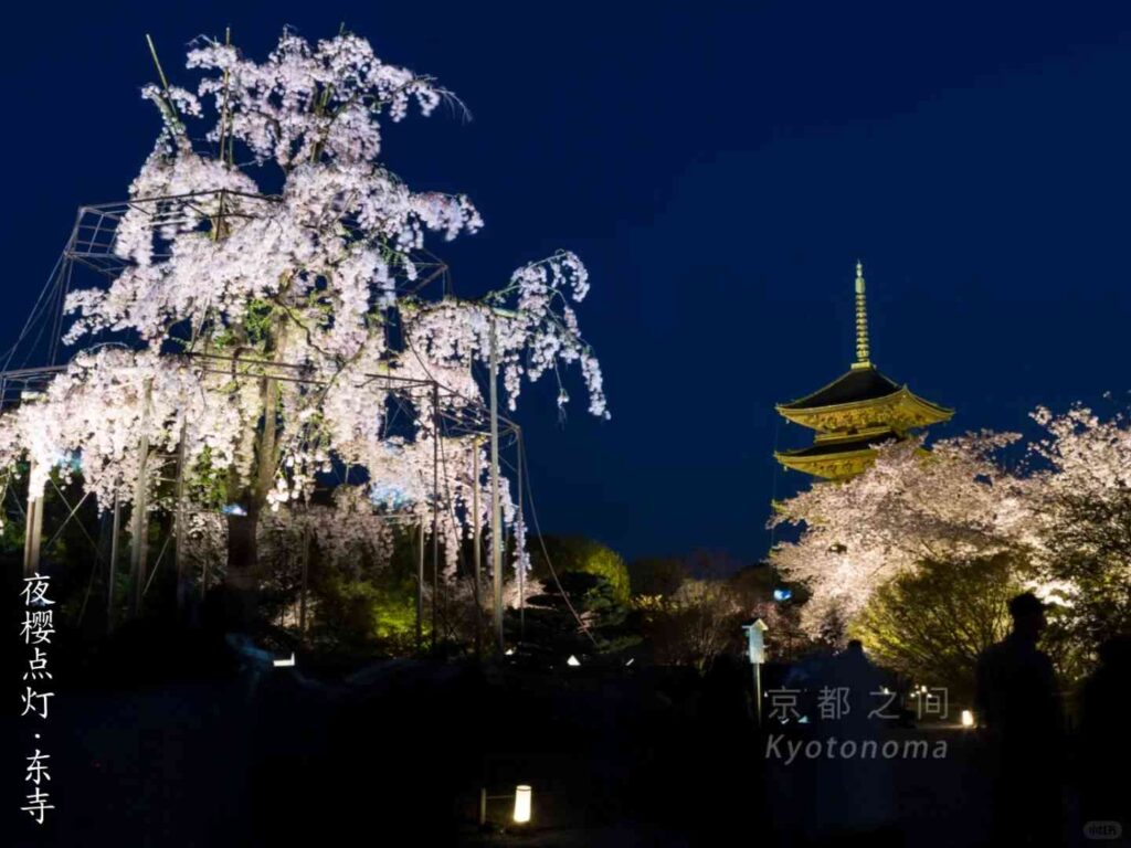 Perfect 7-Day Kyoto Itinerary: Best Cherry Blossom Spots & Must-See Attractions (March 31 – April 6)