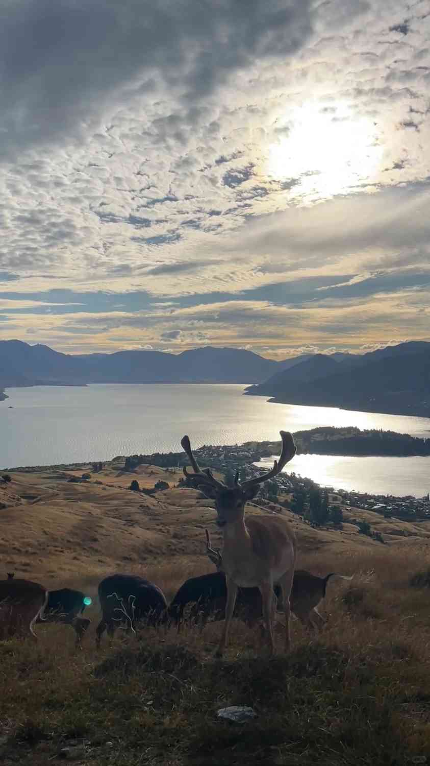 Queenstown Surroundings Travel Guide: Discover Breathtaking View Homestays