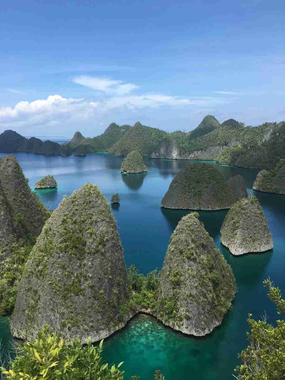 Raja Ampat Inselhüpfen & Schnorcheln: Erkunden Sie das Paradies, bevor es verschwindet