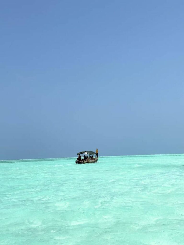 Sangojima Safari: Discover the Untamed Soul of Africa’s Hidden Gem