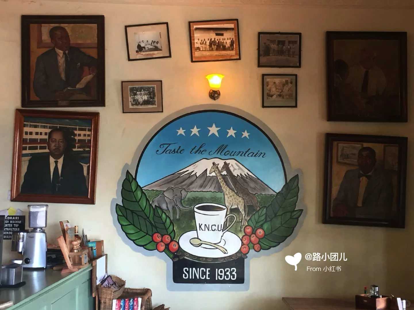 Snow-Capped Coffee Explained: Why It's Not Just Cream on Top | Unique Coffee Facts