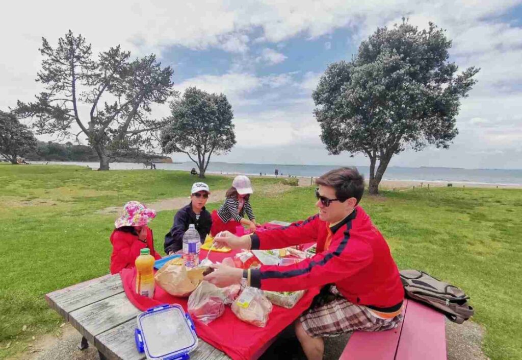 Starting Life in Auckland from Scratch: Real Insights and Tips After One Year