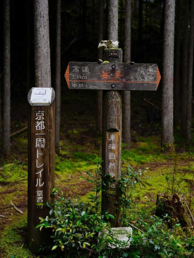 Stunning Arashiyama Bamboo Forest Photos: Capturing Kyoto’s Best Scenic Moments