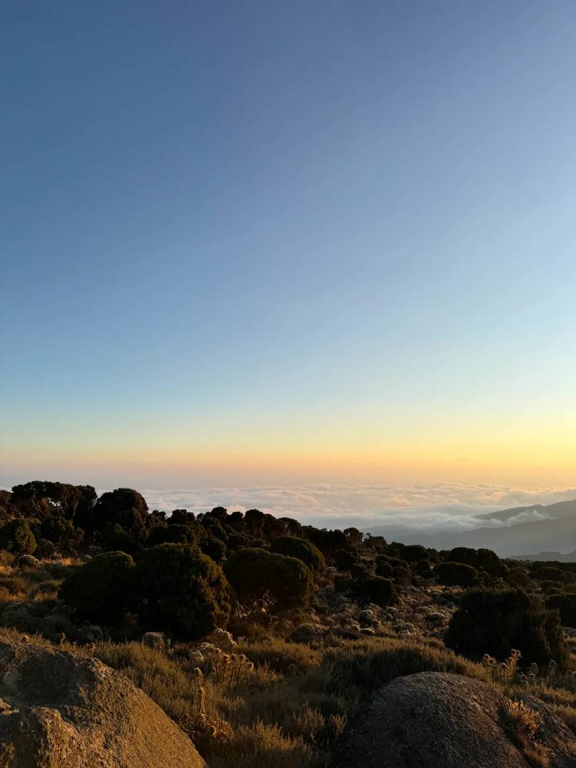 Stunning Golden Sunrise Views on Mount Kilimanjaro - Best Time & Spots to Watch