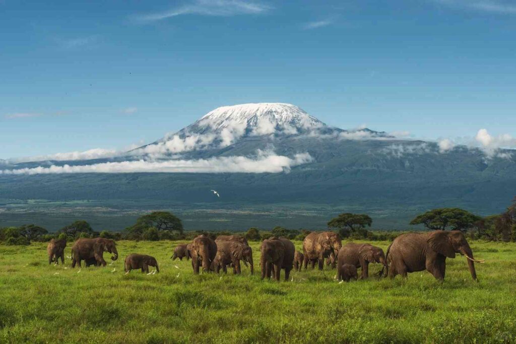 Stunning Kilimanjaro Sunrise Views: Best Early Morning Hiking Tips & Photos