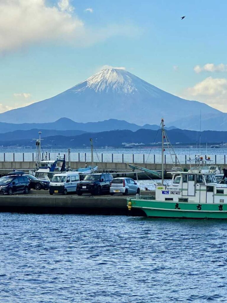Stunning Live Photos from Japan: My Unforgettable Travel Photography Journey 🇯🇵