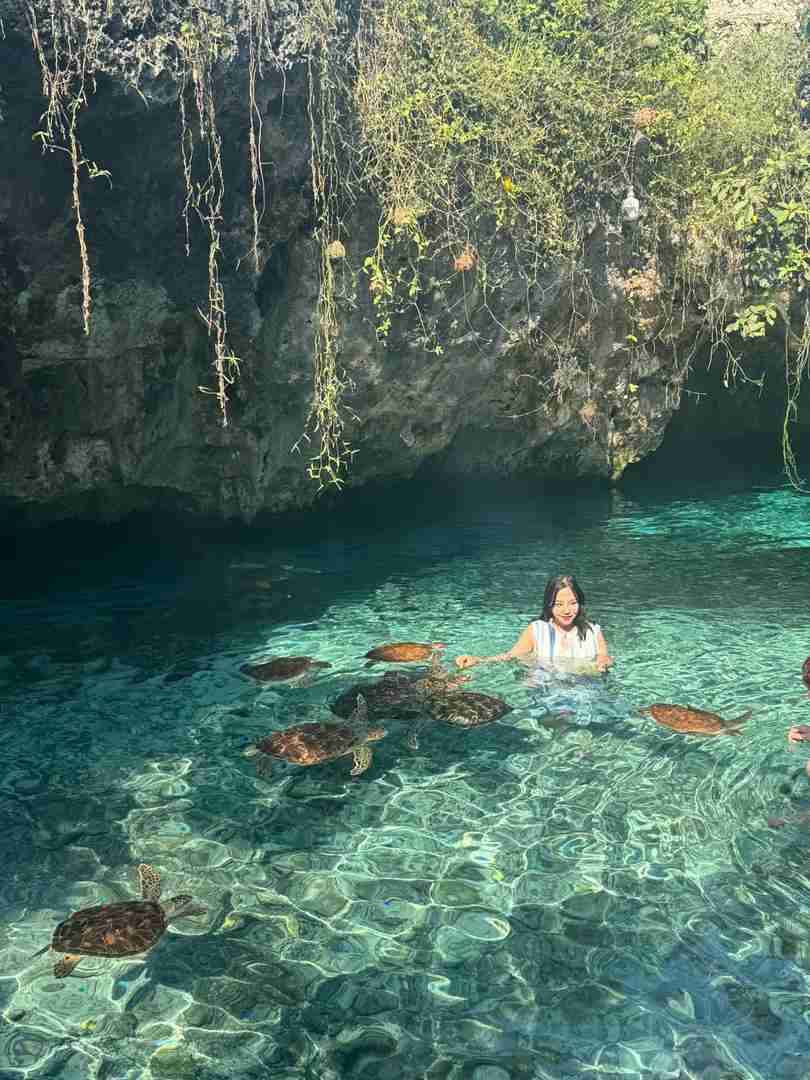 Swim With Turtles in Zanzibar: Live Turtle Snorkeling Tour in Tanzania