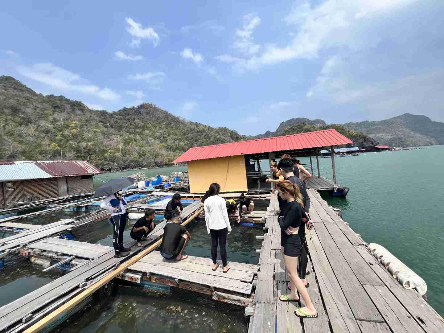 Switching from Canceled Thailand Flight to Relaxing Langkawi Domestic Getaway