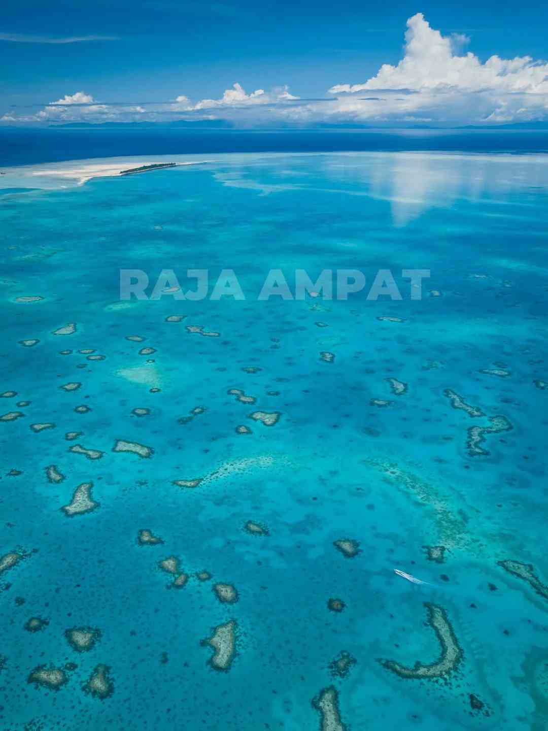 [Top Must-Visit Diving Destinations Worldwide] Explore Beyond Sipadan: Hidden Gems for Scuba Enthusiasts