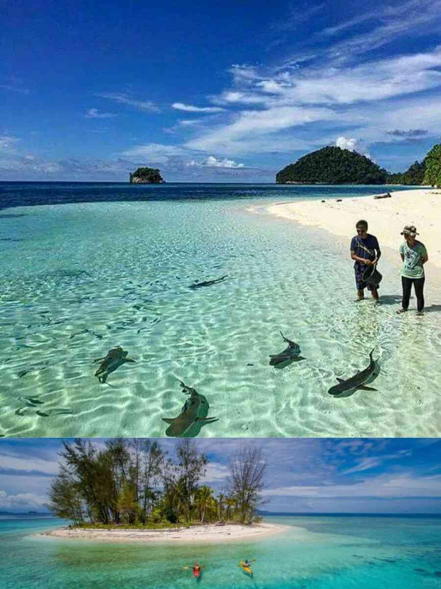 [Top Must-Visit Diving Destinations Worldwide] Explore Beyond Sipadan: Hidden Gems for Scuba Enthusiasts