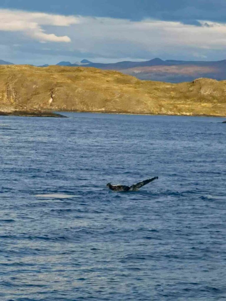 Ultimate 2-Day Ushuaia Travel Guide: Explore the End of the World in Argentina