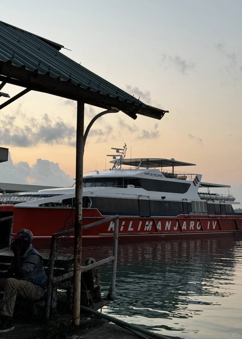 Ultimate Guide: How to Book a Boat to Zanzibar Island - Tips & Best Deals