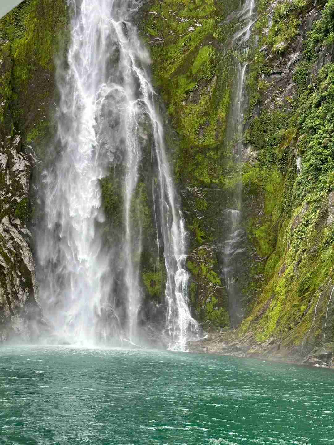 Ultimativer Leitfaden: Wie man das perfekte Boot für die Erkundung von Milford Sound auswählt