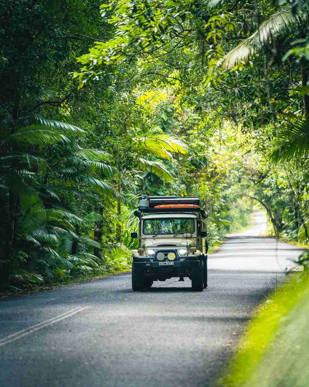 Guide ultime : Comment voler à Cairns, Australie pour moins de 500 dollars bravement