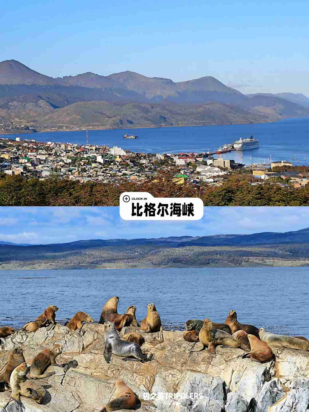 Guia Definitivo: Aproveite o Caranguejo Real em Ushuaia Antes da sua Aventura na Antártica
