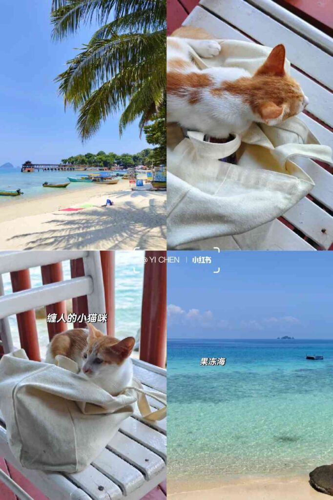 Guide ultime de la plongée sur l’île de Perhentian : meilleurs conseils pour l’hébergement, le transport et la nourriture