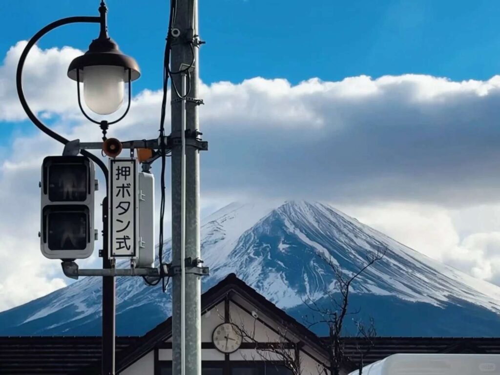 Under Mount Fuji: Discover the Playful and Adorable Slipping Ducks in Their Natural Habitat