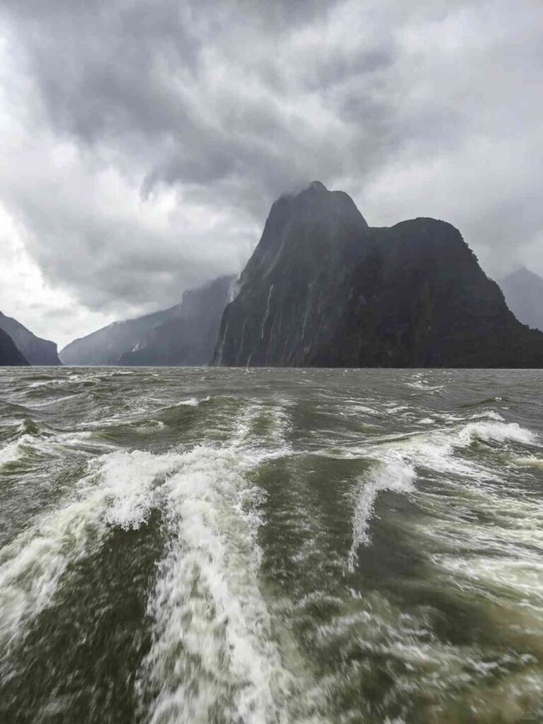 Unerwartet das Treffen mit vier Delfinen, die bei einem Sturm im Milford Sound zusammen schwimmen.