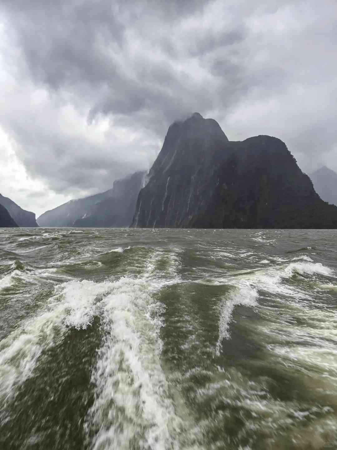 Rencontre Inattendue de Quatre Dauphins Nageant Ensemble à Milford Sound Pendant une Tempête