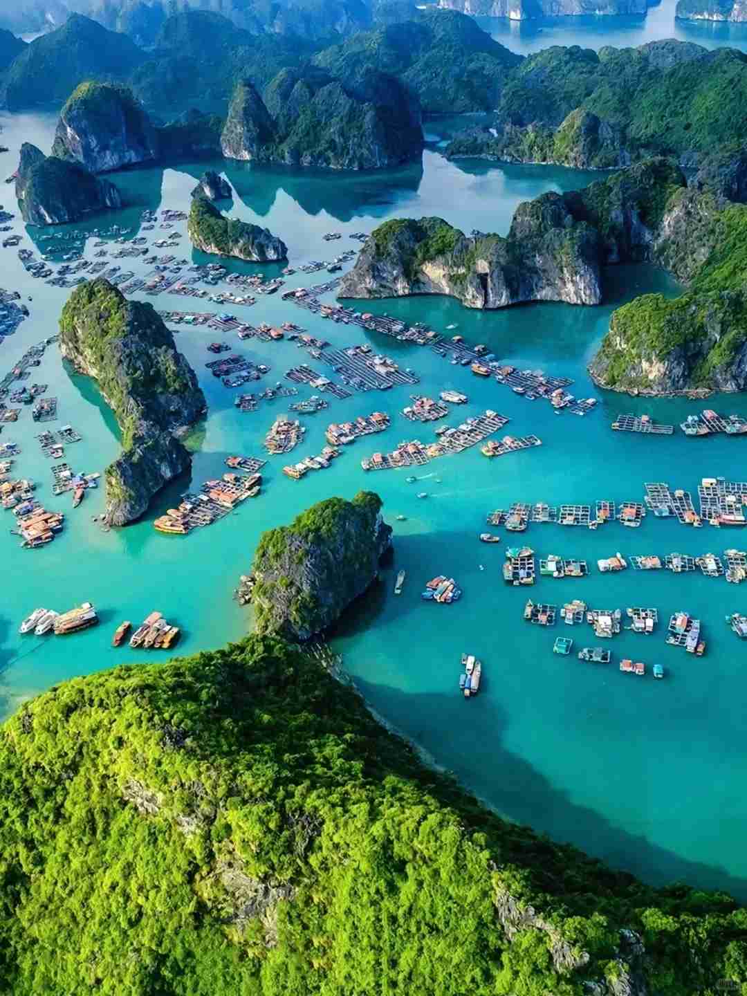 Unforgettable Experiences: Must-Share Moments from My Halong Bay Group Tour in Vietnam